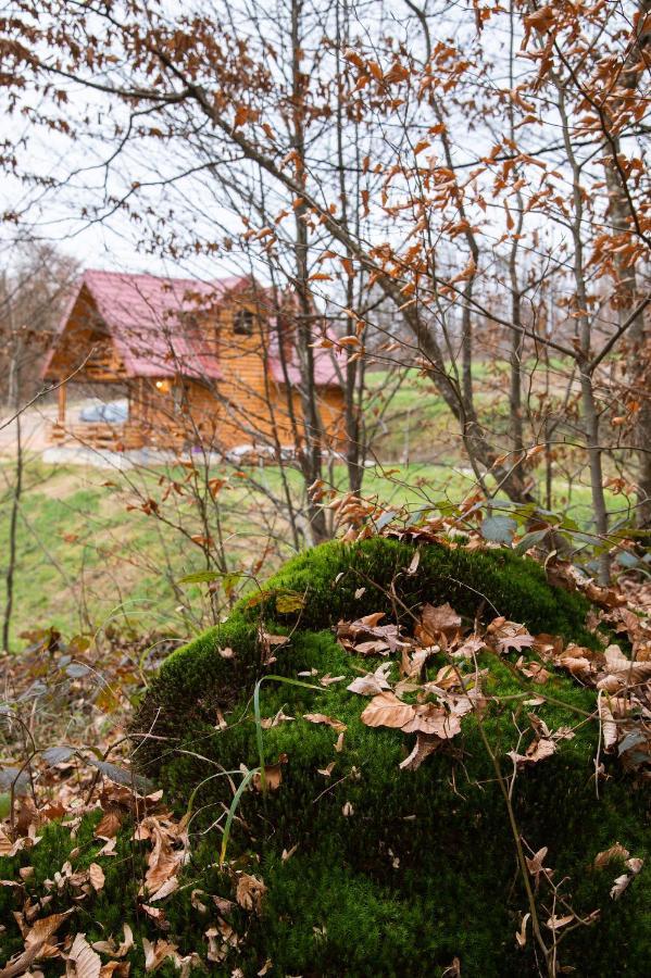 Вилла Brvnaria Slatina Экстерьер фото